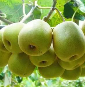 �����J���Ҹ�Ч�����P(gu��n)�I���g(sh��)�ø����I(y��ng)�B(y��ng)Һ